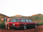 Chevrolet Malibu Station Wagon 1979 года